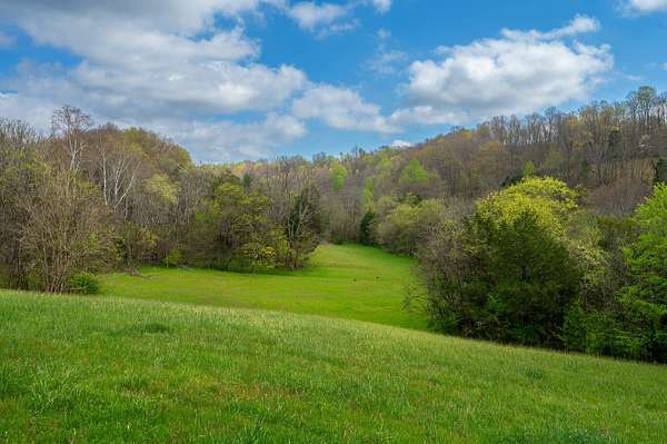 84.6 Acres of Land for Sale in Lynnville, Tennessee