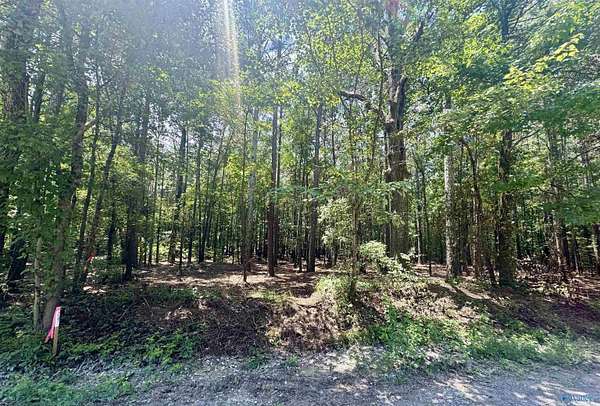 1 Acre of Land for Sale in Centre, Alabama