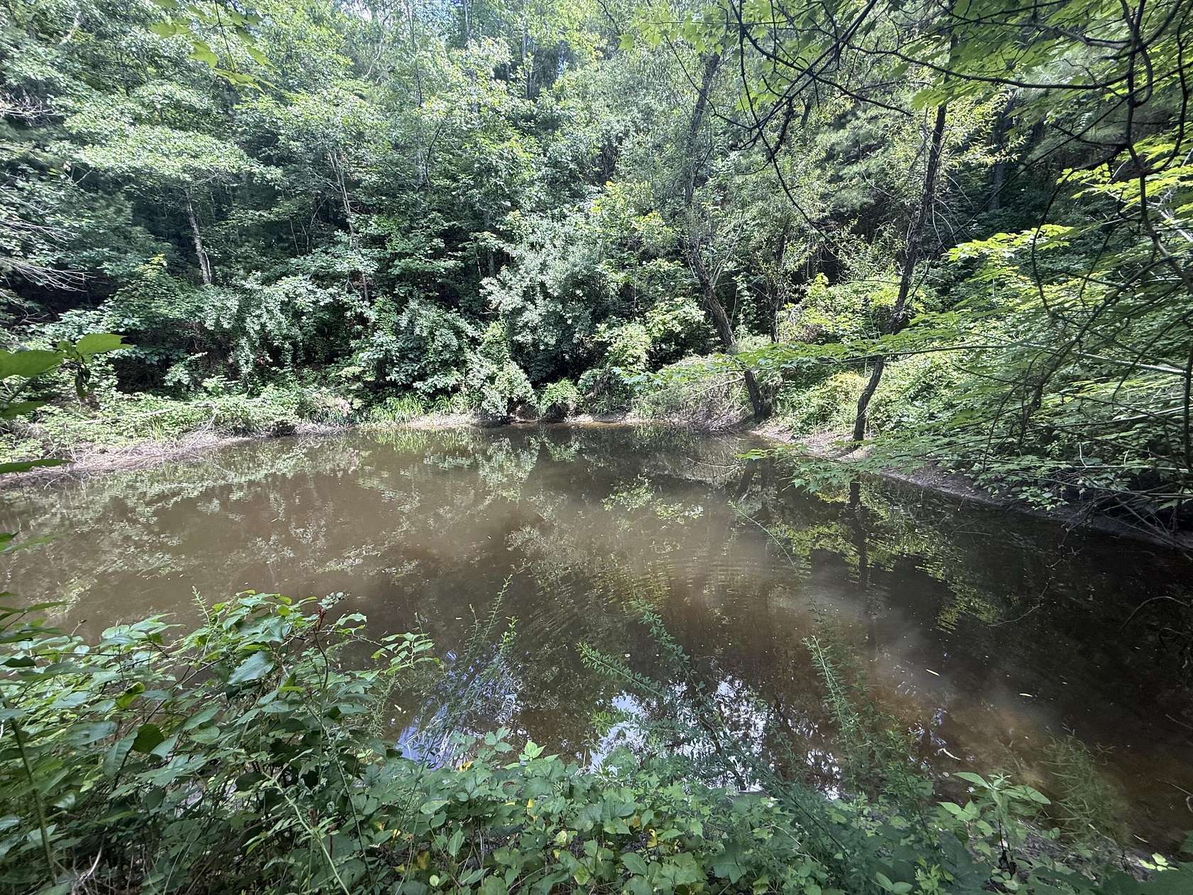 17.1 Acres of Recreational & Residential Land for Sale in Somerset, Kentucky