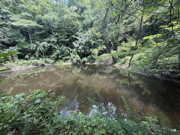 17.1 Acres of Recreational & Residential Land for Sale in Somerset, Kentucky