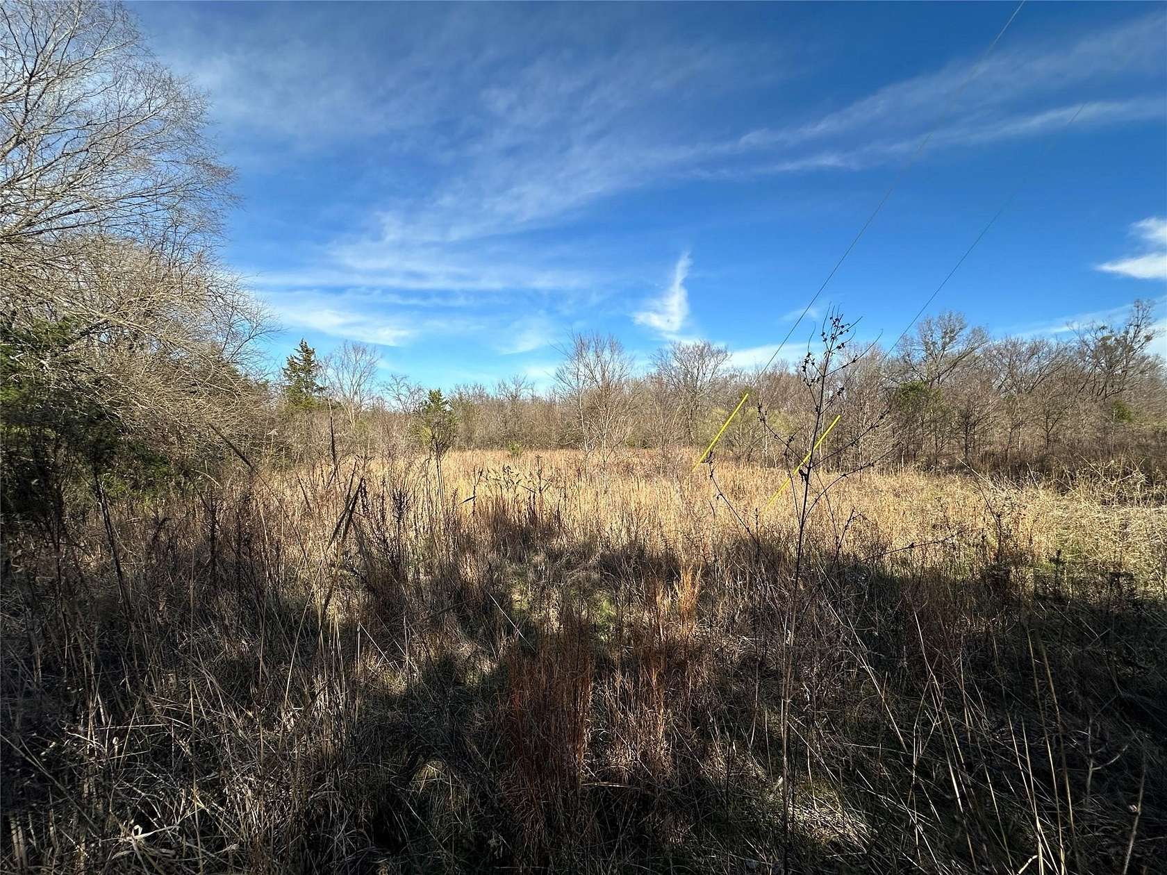 20 Acres of Recreational & Residential Land for Sale in Como, Texas