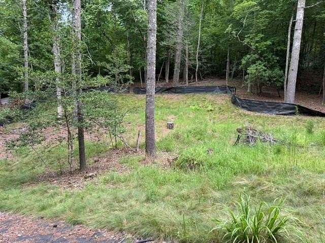 1.16 Acres of Residential Land for Sale in Morganton, Georgia