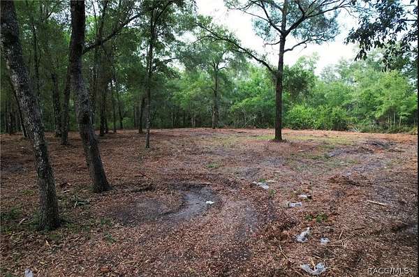 3.52 Acres of Land for Sale in Hernando, Florida