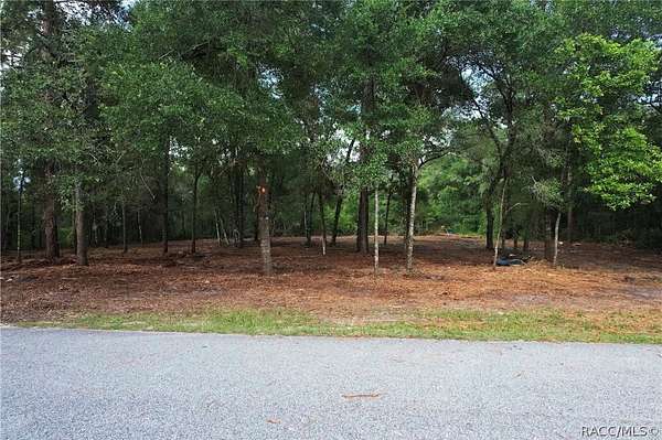 3.52 Acres of Land for Sale in Hernando, Florida