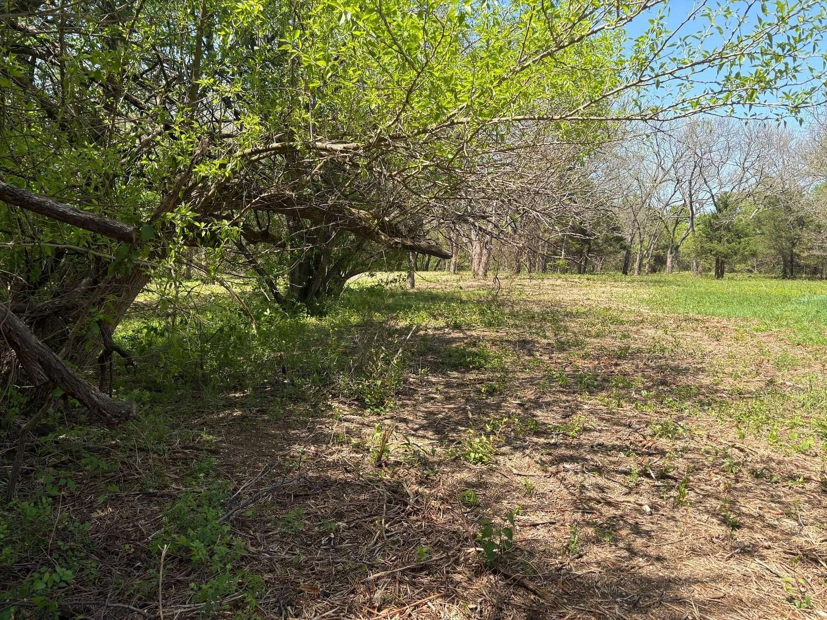 6.21 Acres of Mixed-Use Land for Sale in Sherman, Texas