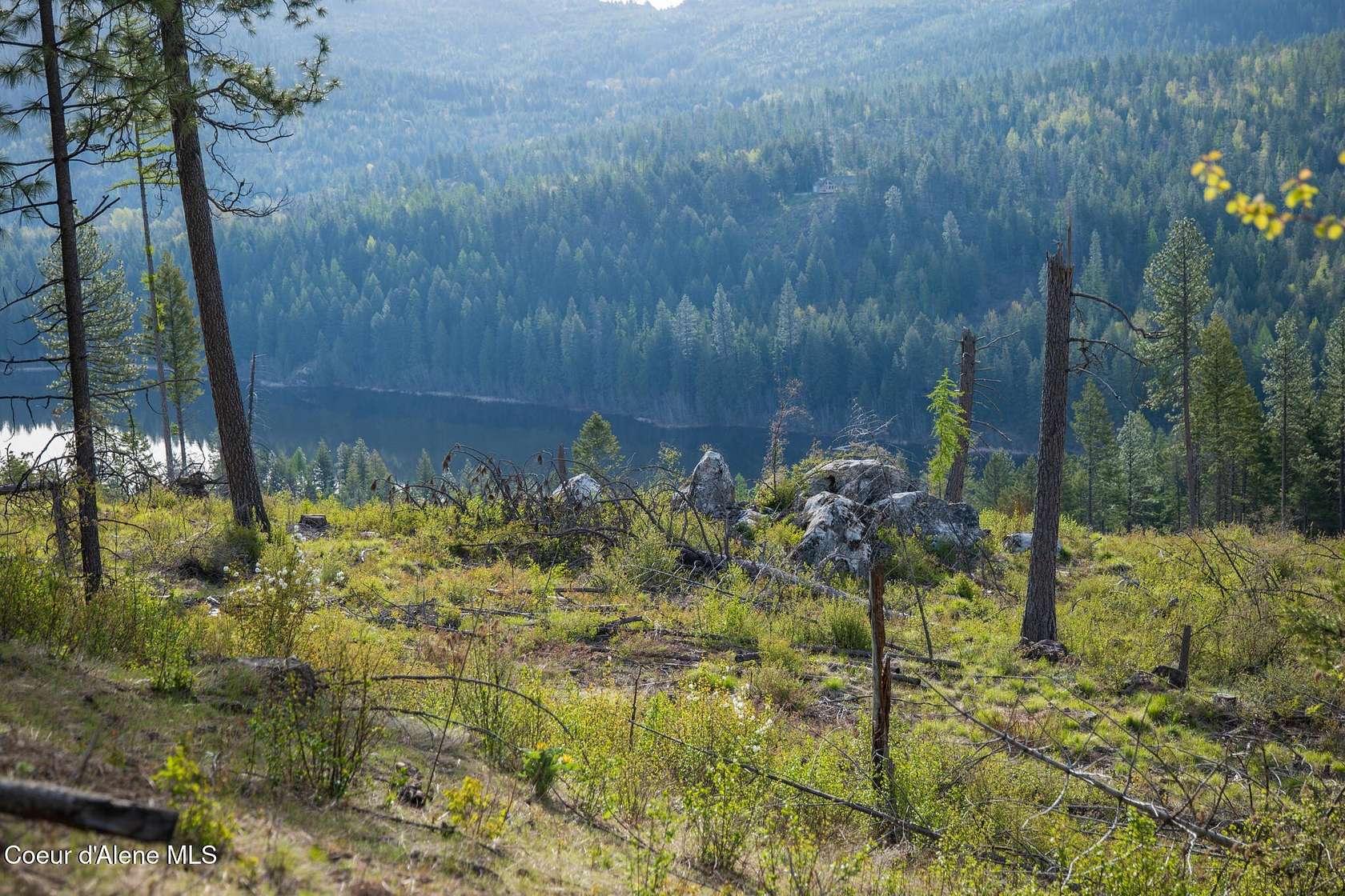 10 Acres of Recreational & Residential Land for Sale in Sagle, Idaho