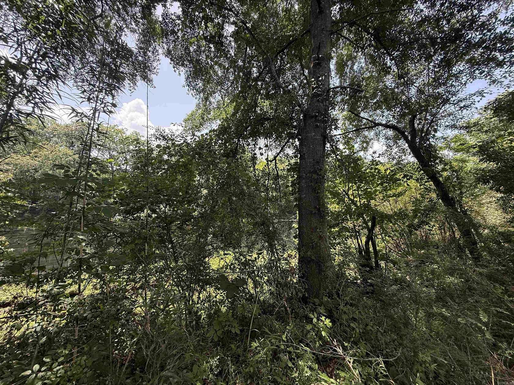 0.33 Acres of Residential Land for Sale in Heber Springs, Arkansas