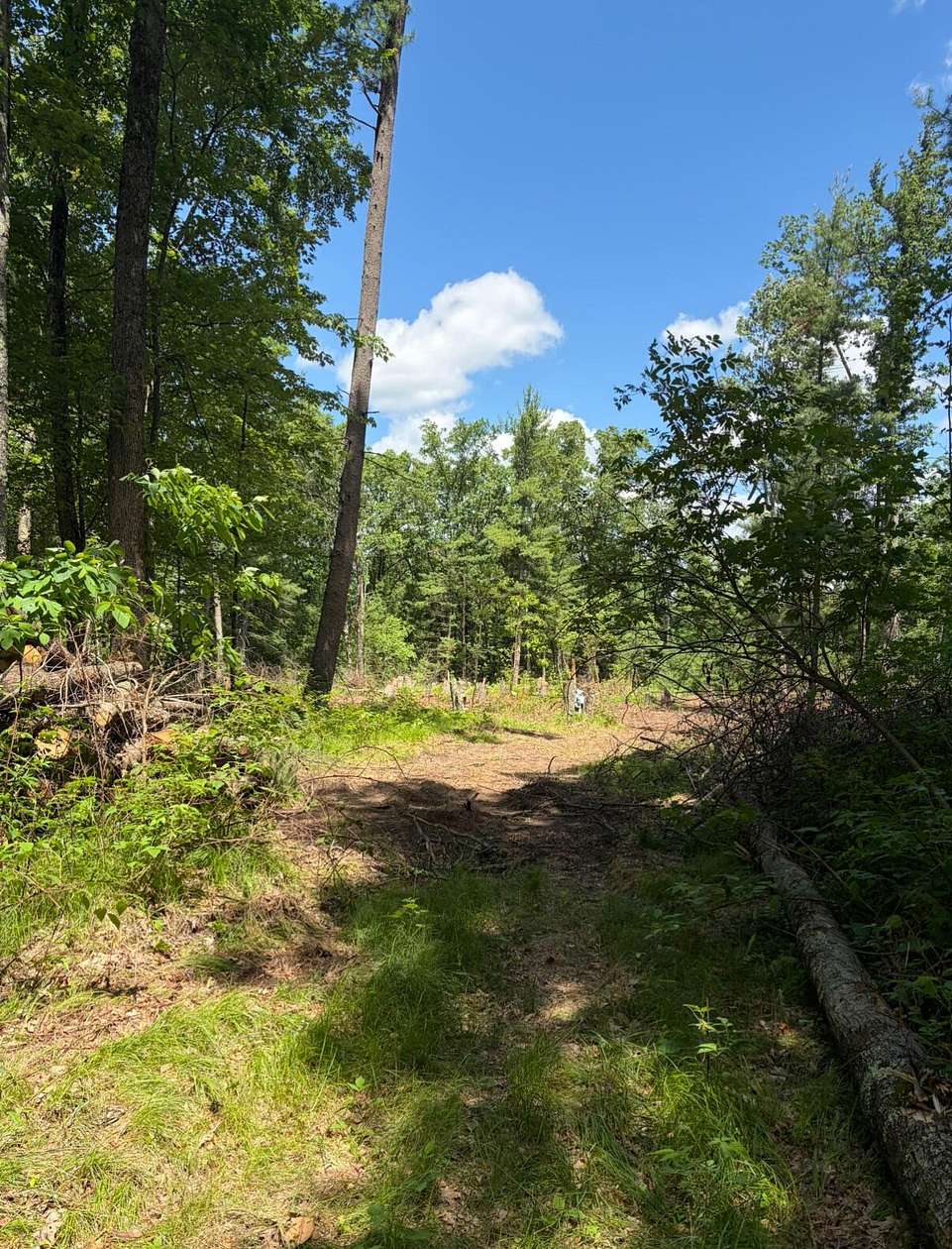 19.9 Acres of Recreational & Residential Land for Sale in Howard City, Michigan