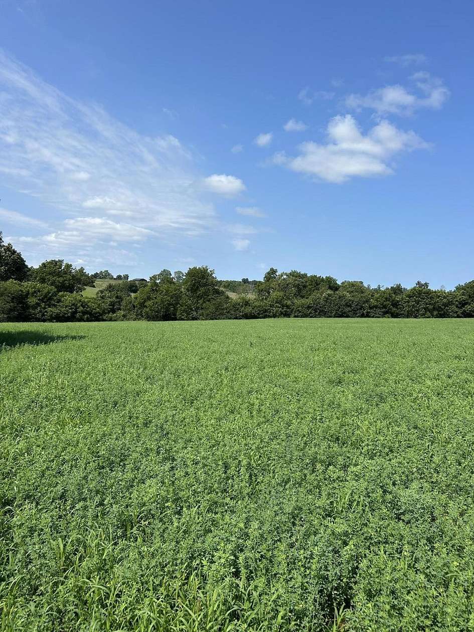 14.8 Acres of Recreational & Residential Land for Sale in Cynthiana, Kentucky