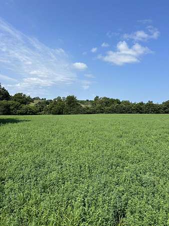 14.8 Acres of Recreational & Residential Land for Sale in Cynthiana, Kentucky