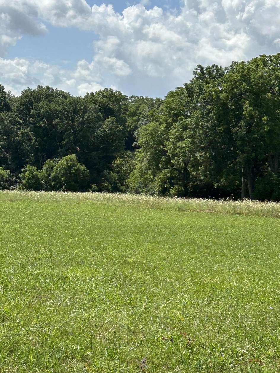15.9 Acres of Recreational & Residential Land for Sale in Cynthiana, Kentucky