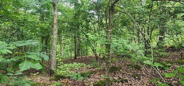 0.37 Acres of Land for Sale in Holladay, Tennessee