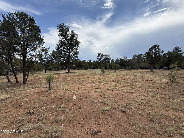 0.96 Acres of Residential Land for Sale in Overgaard, Arizona