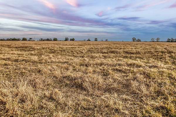 25 Acres of Land for Sale in Caldwell, Texas