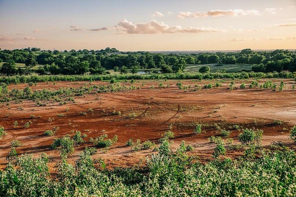 16.9 Acres of Land for Sale in Brenham, Texas