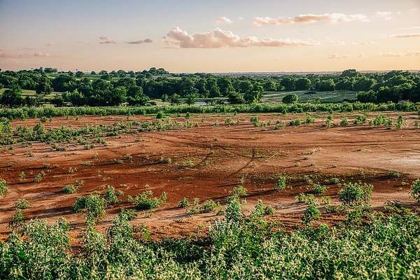 16.9 Acres of Land for Sale in Brenham, Texas