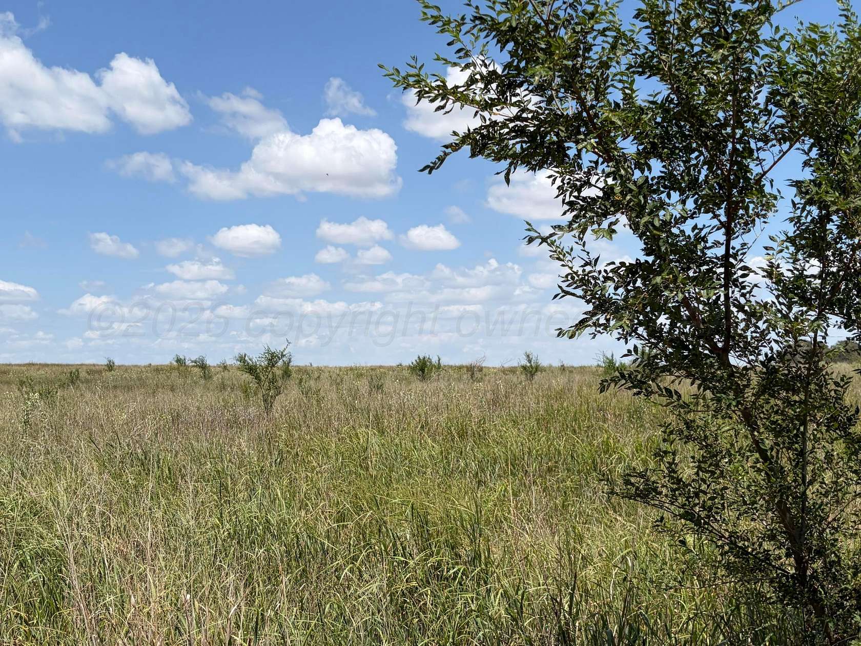 38.3 Acres of Recreational & Residential Land for Sale in Wellington, Texas