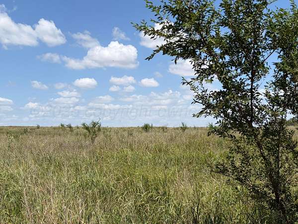 38.3 Acres of Recreational & Residential Land for Sale in Wellington, Texas