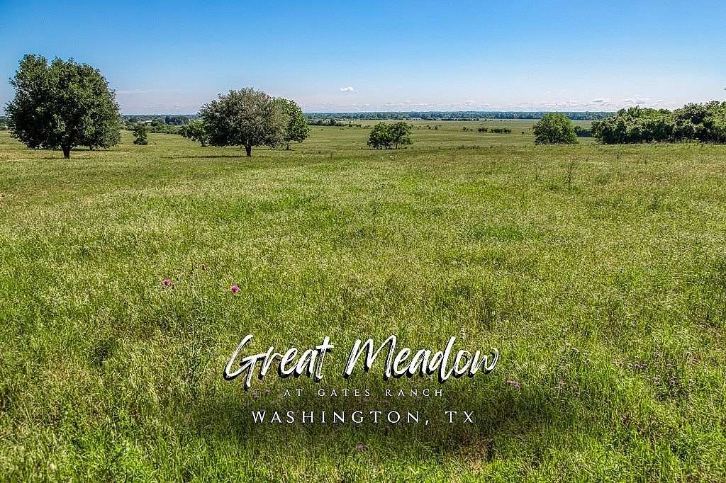69.5 Acres of Land for Sale in Washington, Texas