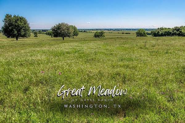 69.5 Acres of Land for Sale in Washington, Texas
