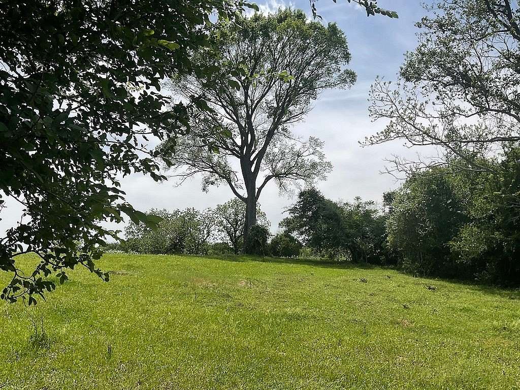 42 Acres of Recreational Land for Sale in Chappell Hill, Texas