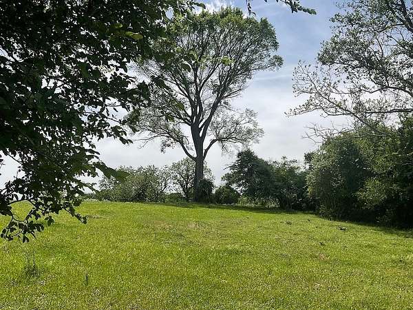 42 Acres of Recreational Land for Sale in Chappell Hill, Texas