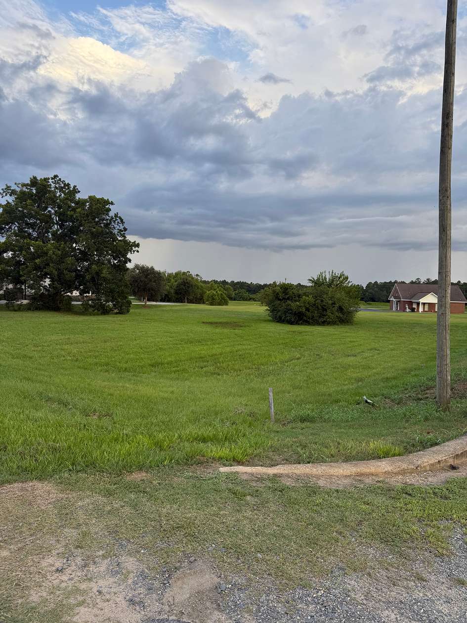 1 Acre of Commercial Land for Sale in Blakely, Georgia