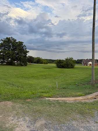 1 Acre of Commercial Land for Sale in Blakely, Georgia