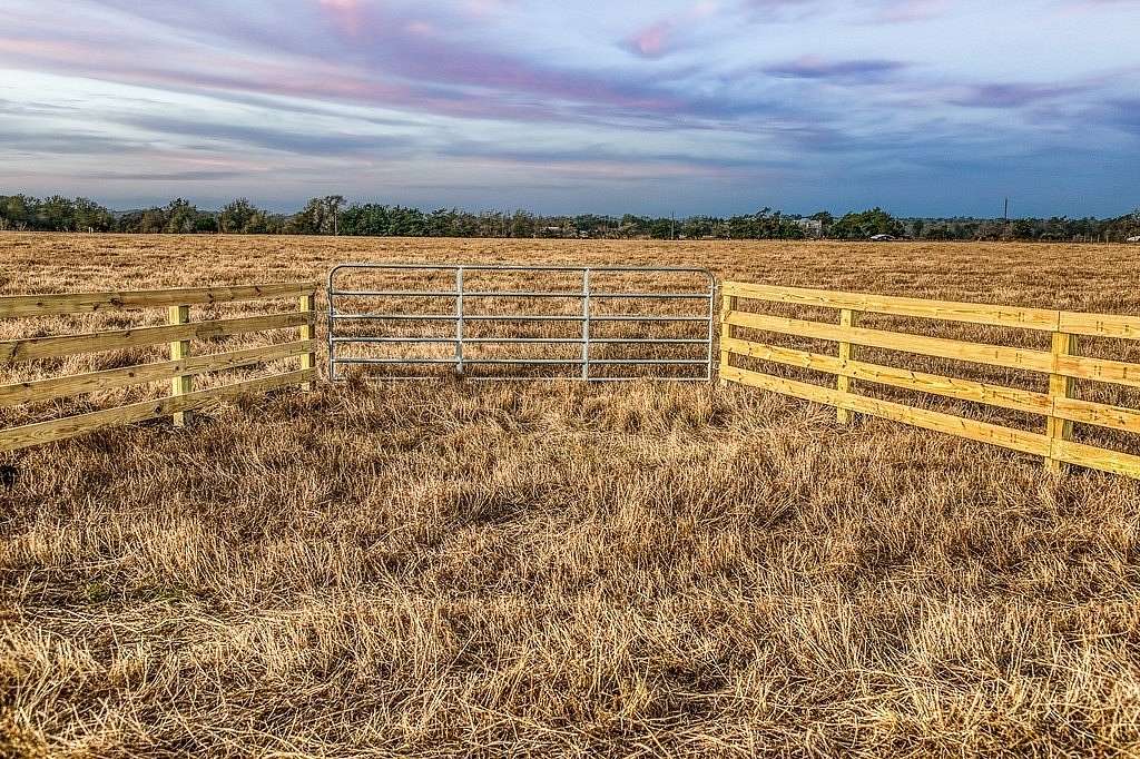 12 Acres of Land for Sale in Caldwell, Texas