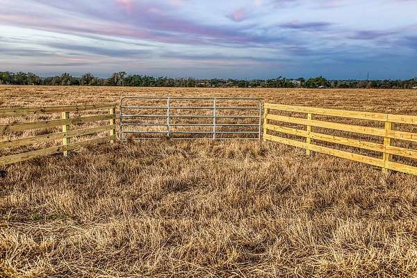 12 Acres of Land for Sale in Caldwell, Texas