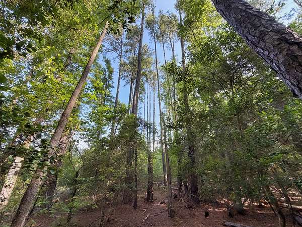48.7 Acres of Land for Sale in Chesterfield, South Carolina