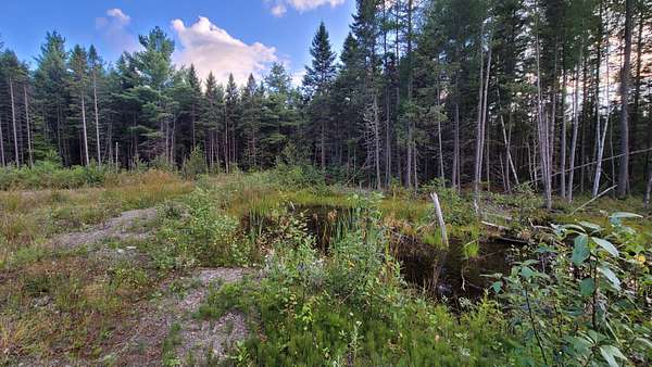 40 Acres of Recreational Land for Sale in Woodland Town, Maine