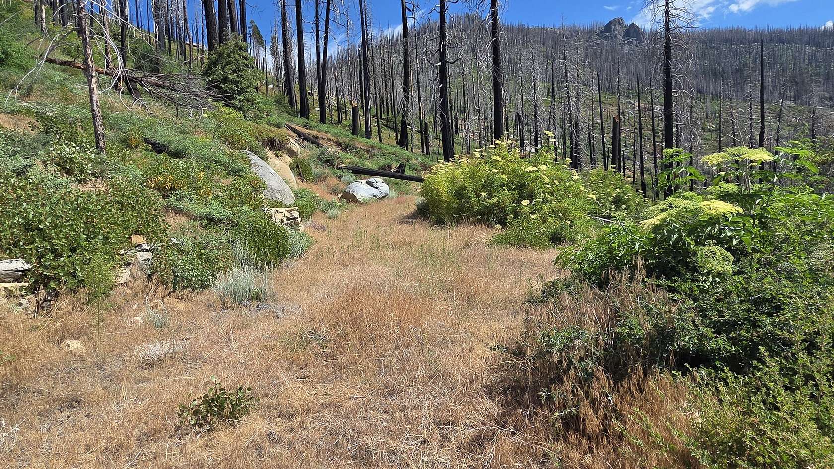 0.82 Acres of Residential Land for Sale in Springville, California