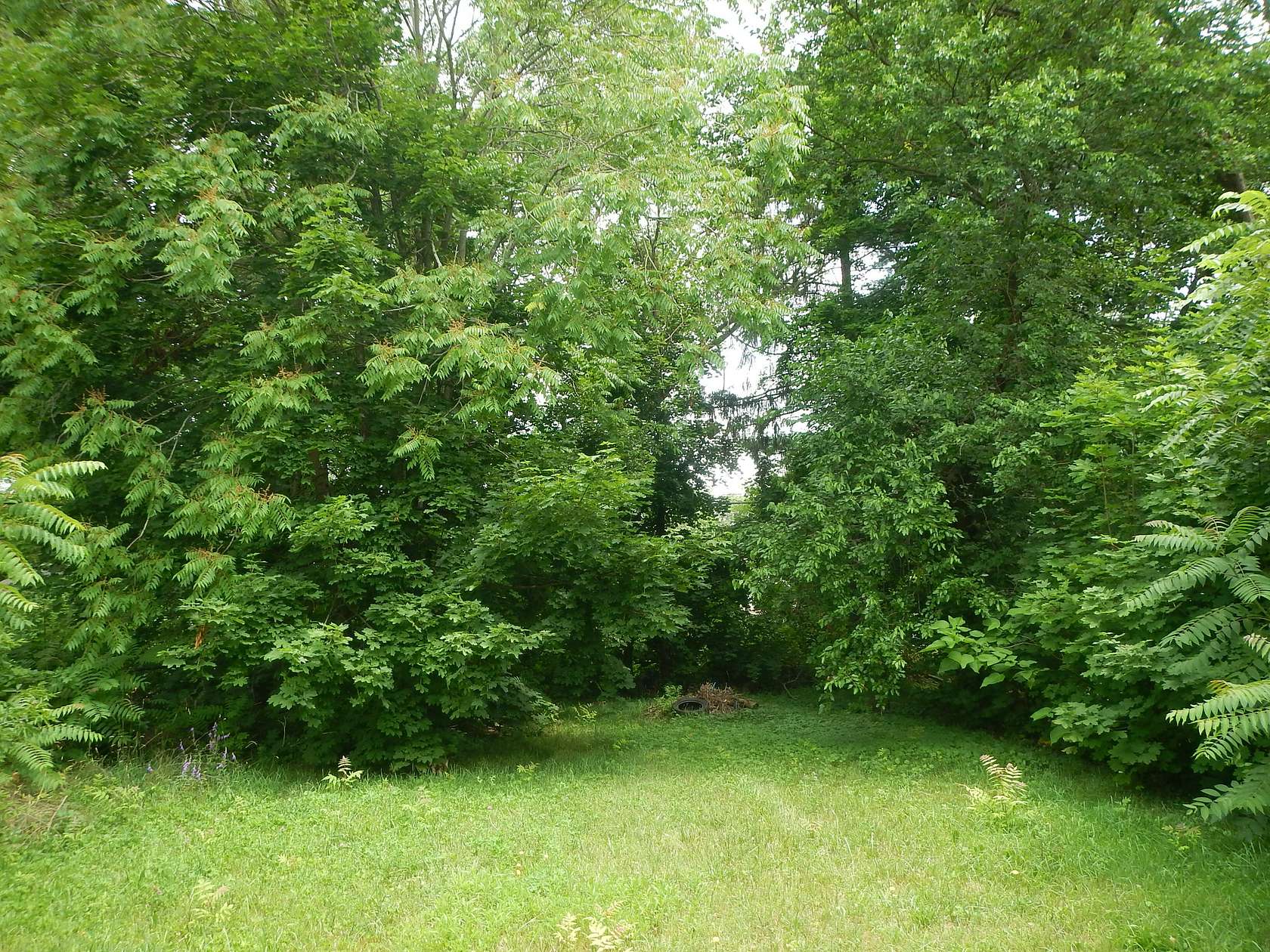 0.13 Acres of Residential Land for Sale in Benton Harbor, Michigan