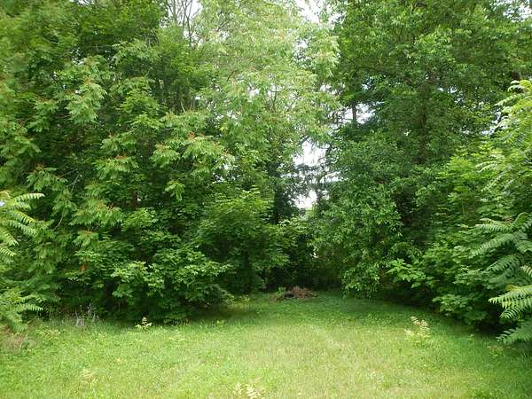 0.13 Acres of Residential Land for Sale in Benton Harbor, Michigan