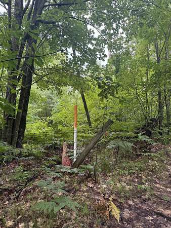 30.2 Acres of Recreational & Residential Land for Sale in West Branch, Michigan
