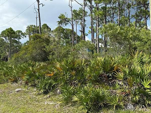 0.38 Acres of Residential Land for Sale in St. George Island, Florida