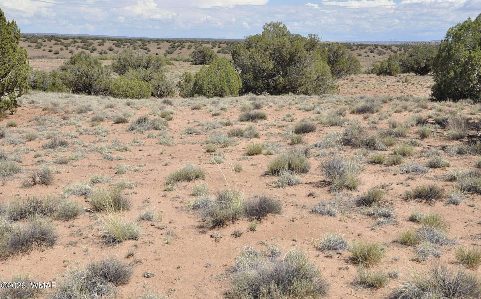 21.6 Acres of Land for Sale in Concho, Arizona