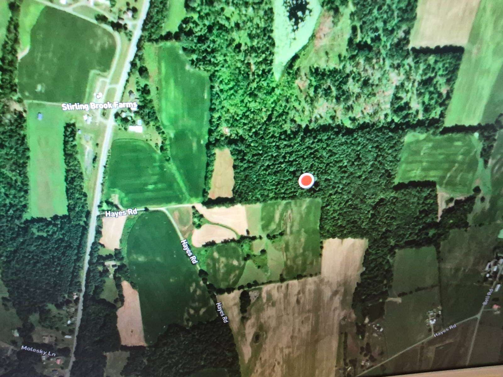 16.7 Acres of Land for Sale in Greenwich, New York