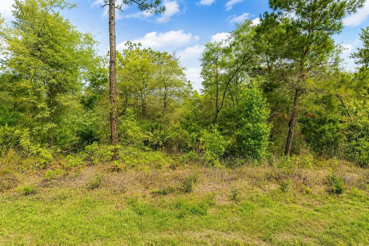 0.33 Acres of Land for Sale in Dunnellon, Florida