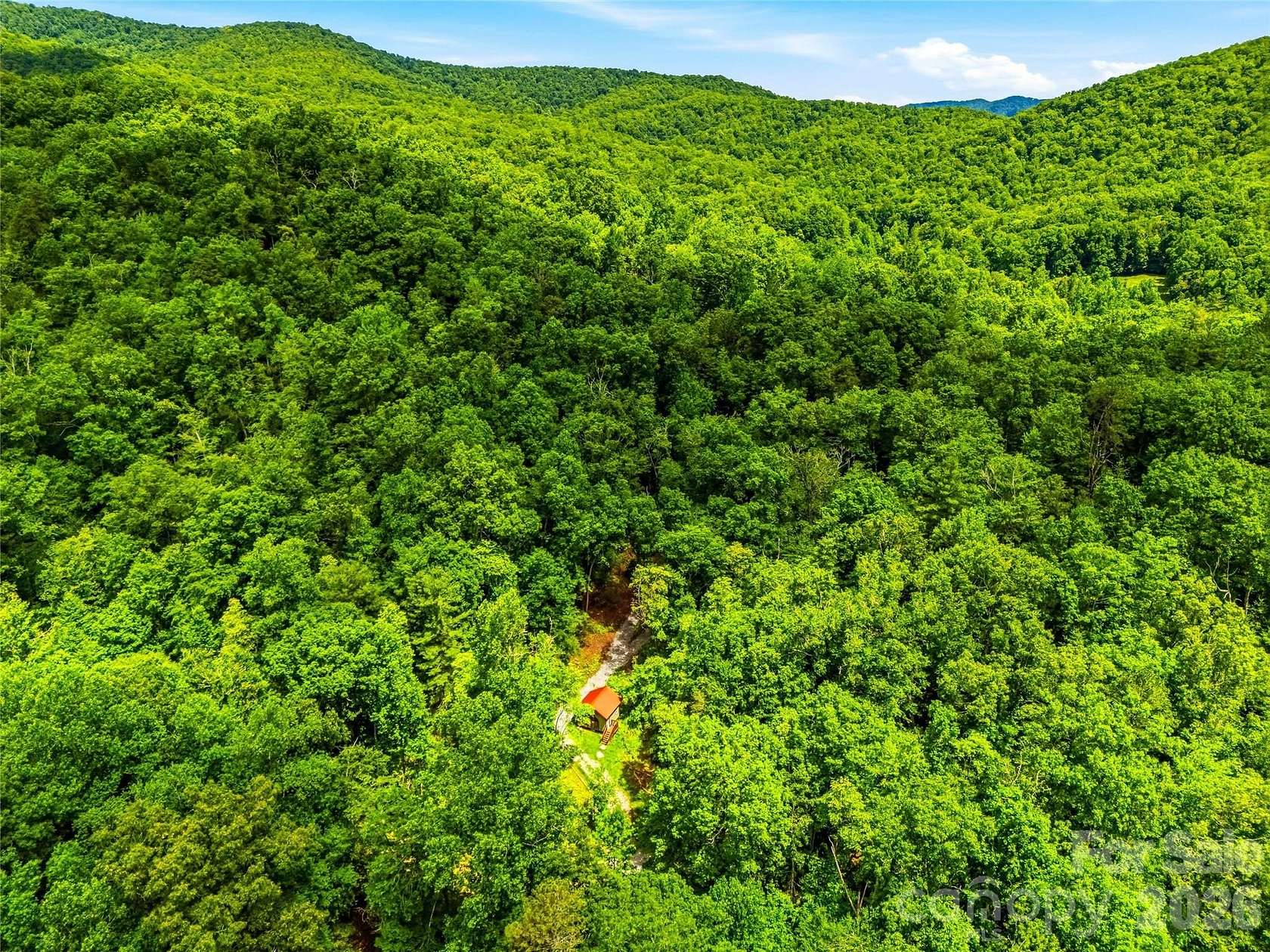 35.6 Acres of Recreational Land for Sale in Horse Shoe, North Carolina