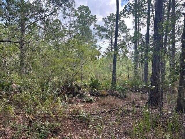 10 Acres of Land for Sale in Clermont, Florida