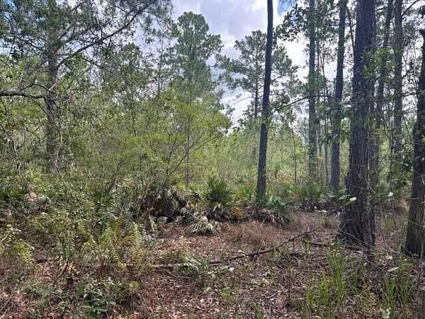 10 Acres of Land for Sale in Clermont, Florida