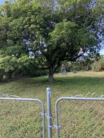 0.64 Acres of Residential Land for Sale in Haverhill, Florida