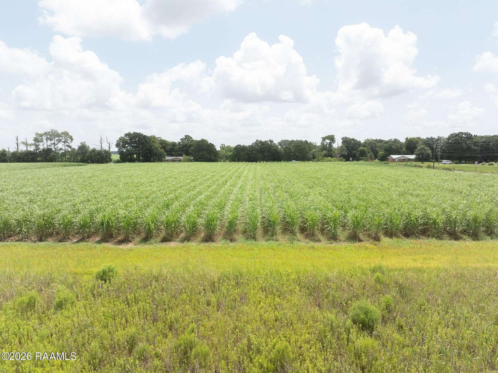 1.73 Acres of Land for Sale in Abbeville, Louisiana