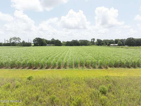 1.73 Acres of Land for Sale in Abbeville, Louisiana