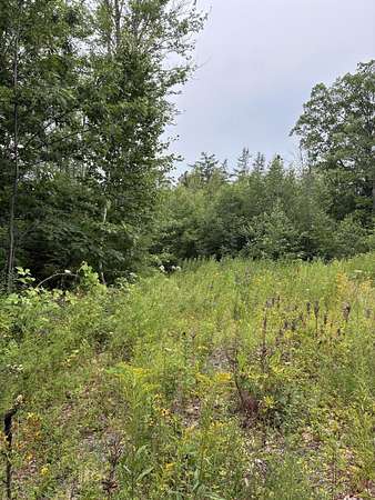 2 Acres of Residential Land for Sale in Bar Harbor, Maine