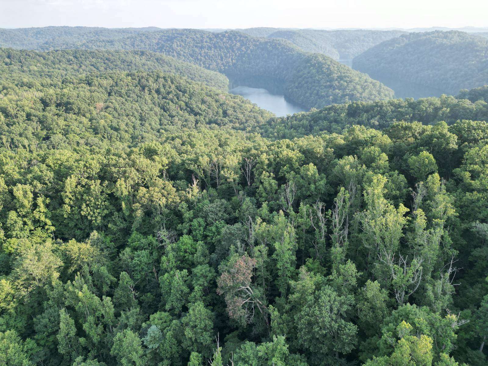 76.3 Acres of Recreational Land for Sale in Sutton, West Virginia