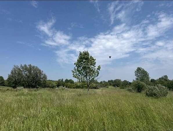 5 Acres of Residential Land for Sale in Fennville, Michigan