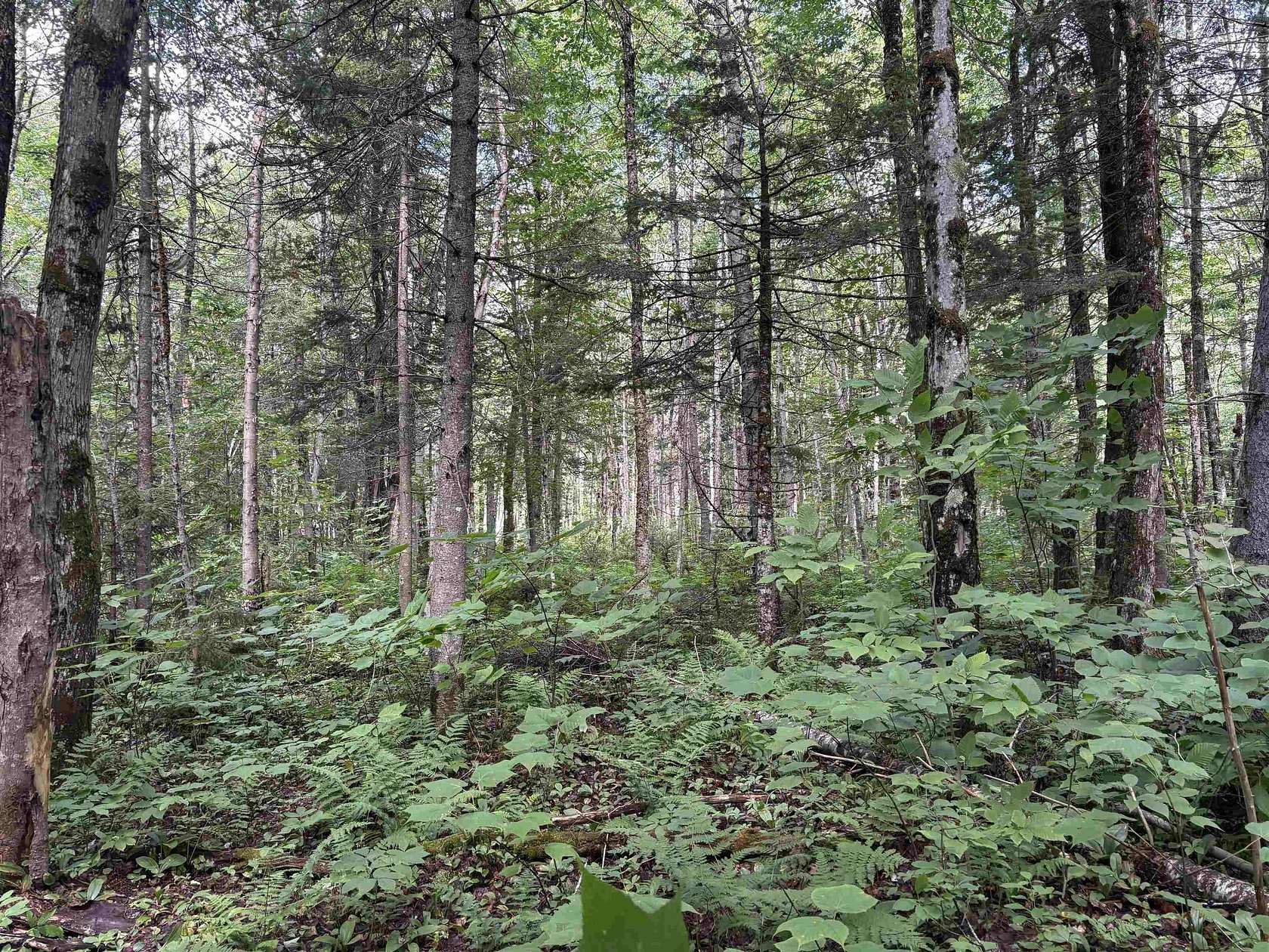 14.3 Acres of Land for Sale in Brighton Town, Vermont